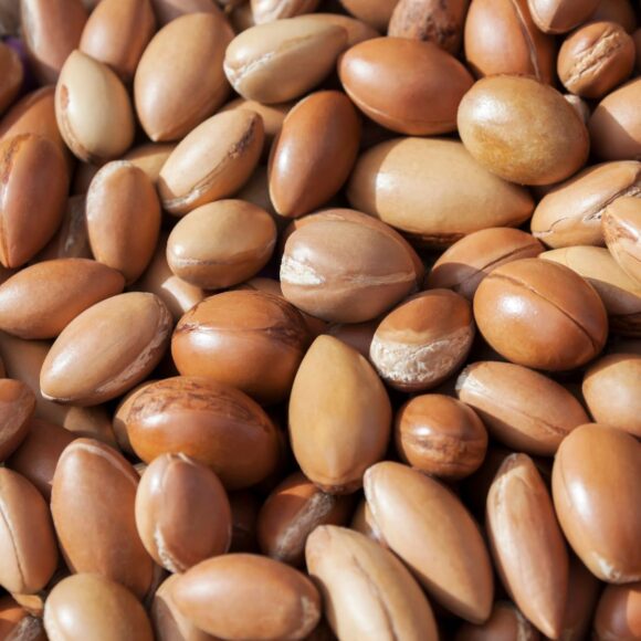 Creme Douceur Arga 580x580